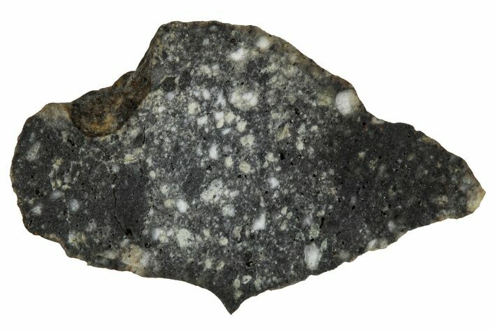 Polished Lunar Meteorite ( g) Slice - Aridal #355983